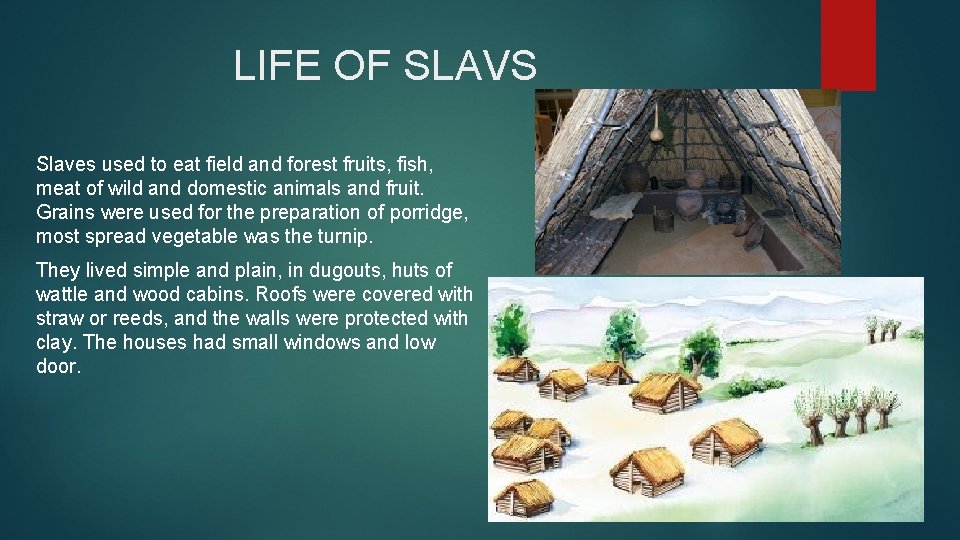  LIFE OF SLAVS Slaves used to eat field and forest fruits, fish, meat