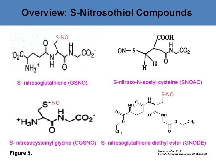 Overview: S-Nitrosothiol Compounds S-NO S- nitrosoglutathione (GSNO) S-nitroso-N-acetyl cysteine (SNOAC) S-NO NO S- nitrosocysteinyl