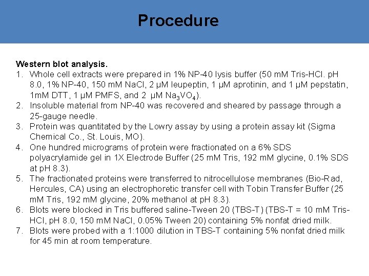 Procedure Western blot analysis. 1. Whole cell extracts were prepared in 1% NP-40 lysis
