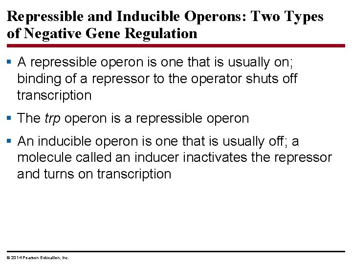 Repressible and Inducible Operons: Two Types of Negative Gene Regulation § A repressible operon
