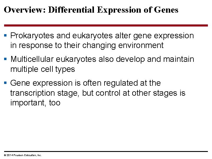 Overview: Differential Expression of Genes § Prokaryotes and eukaryotes alter gene expression in response
