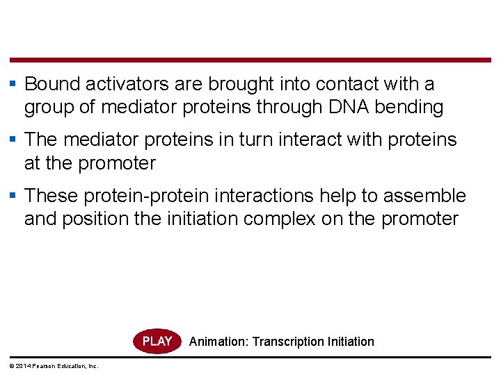 § Bound activators are brought into contact with a group of mediator proteins through