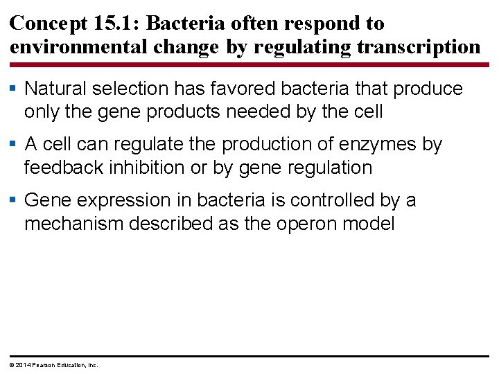 Concept 15. 1: Bacteria often respond to environmental change by regulating transcription § Natural