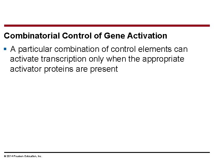 Combinatorial Control of Gene Activation § A particular combination of control elements can activate