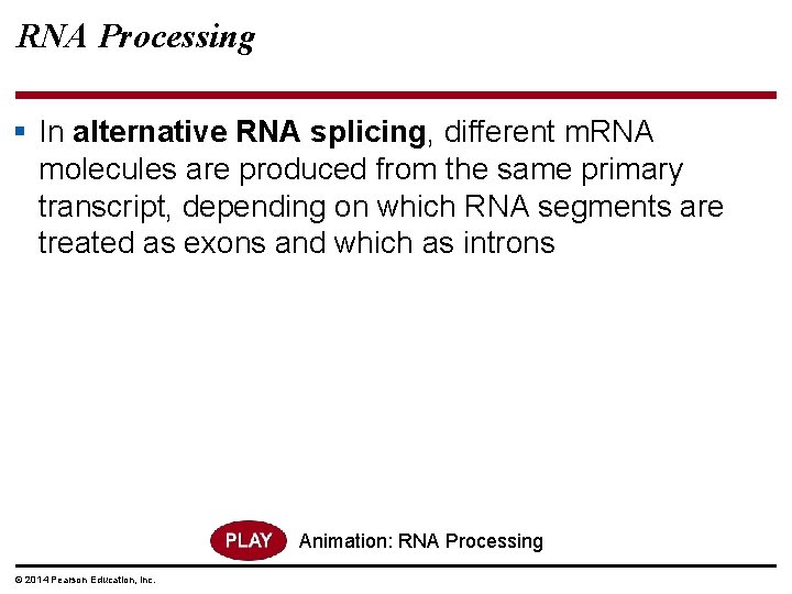 RNA Processing § In alternative RNA splicing, different m. RNA molecules are produced from