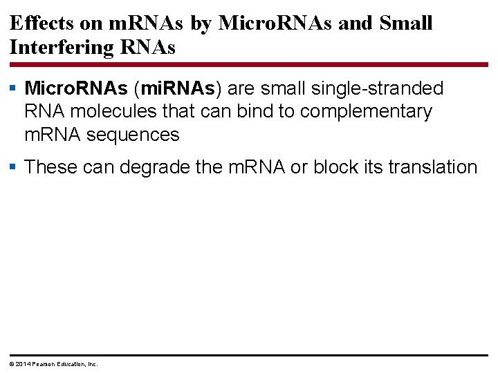 Effects on m. RNAs by Micro. RNAs and Small Interfering RNAs § Micro. RNAs