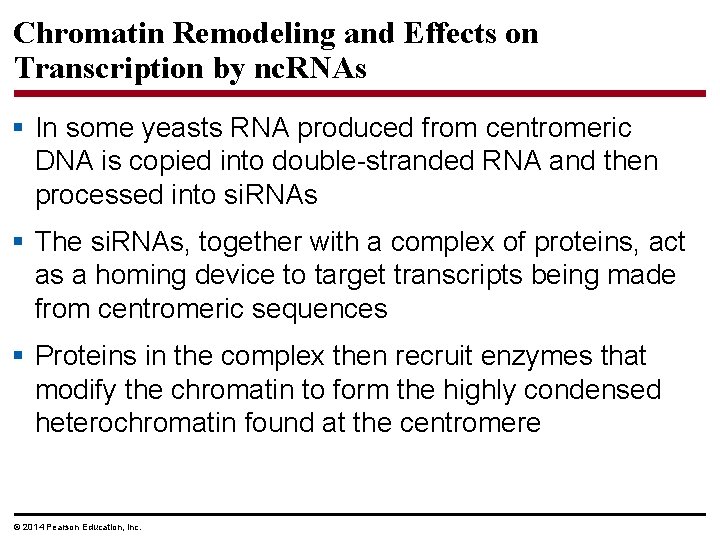 Chromatin Remodeling and Effects on Transcription by nc. RNAs § In some yeasts RNA