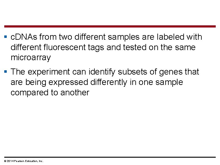 § c. DNAs from two different samples are labeled with different fluorescent tags and