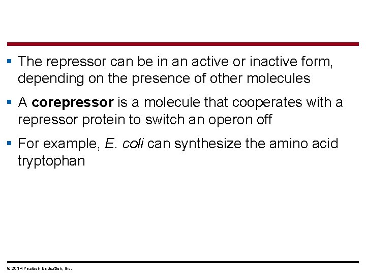 § The repressor can be in an active or inactive form, depending on the