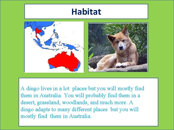 Habitat Map showing where your animal lives Picture showing your animal in its habitat.