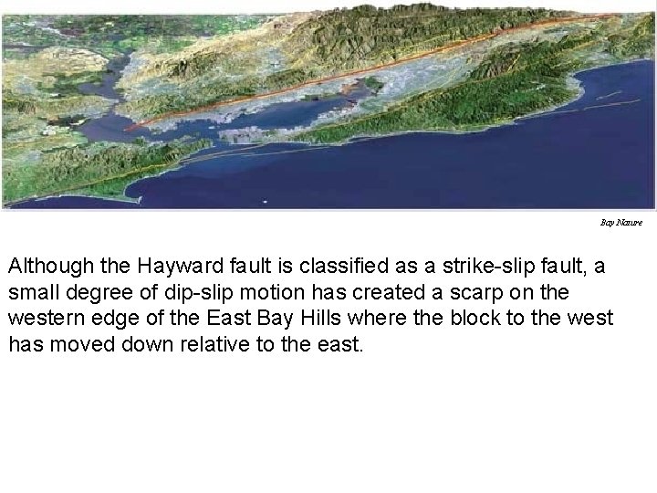 Bay Nature Although the Hayward fault is classified as a strike-slip fault, a small