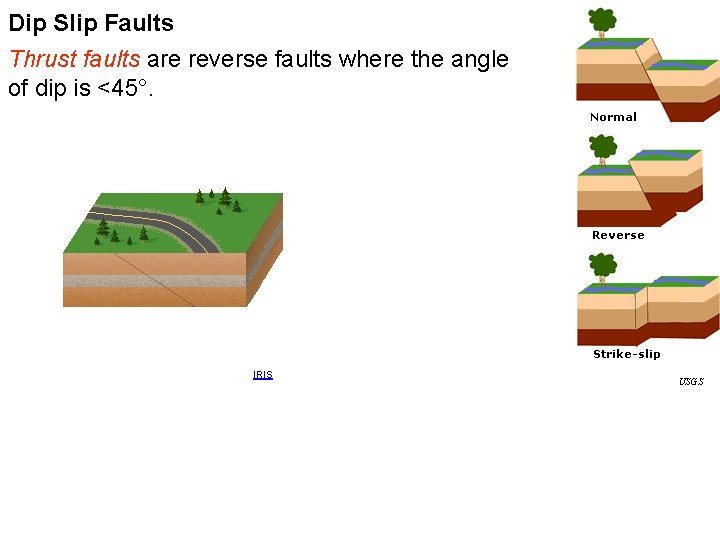 Dip Slip Faults Thrust faults are reverse faults where the angle of dip is