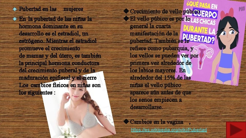  Pubertad en las mujeres En la pubertad de las niñas la hormona dominante