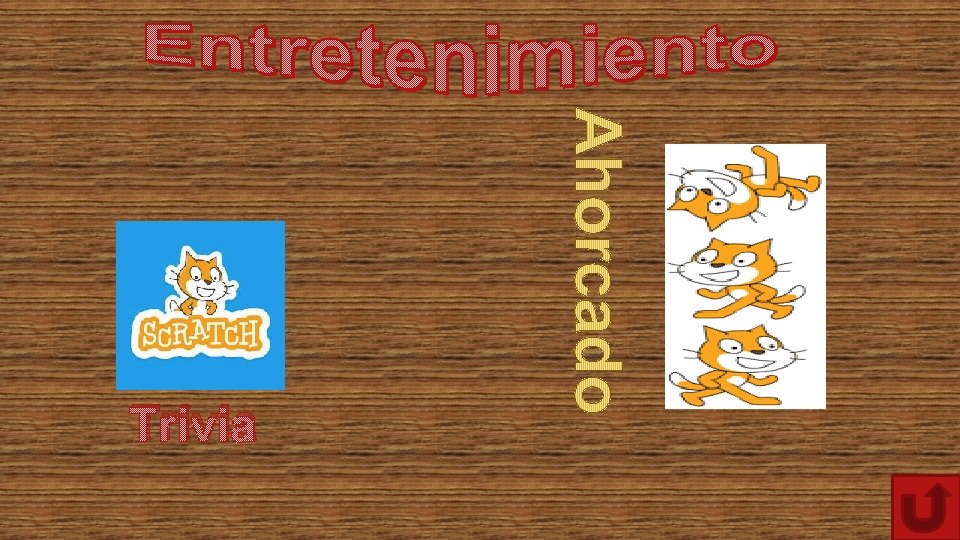 Trivia Trivia