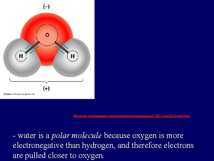 http: //web. visionlearning. com/custom/chemistry/animations/CHE 1. 7 -an-H 2 Obond. shtml - water is a