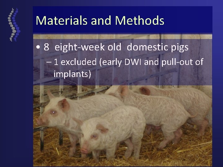 Materials and Methods • 8 eight-week old domestic pigs – 1 excluded (early DWI