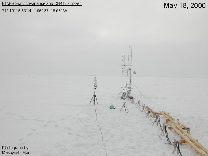 NIAES Eddy covariance and CH 4 flux tower: 71° 19' 16. 86" N :