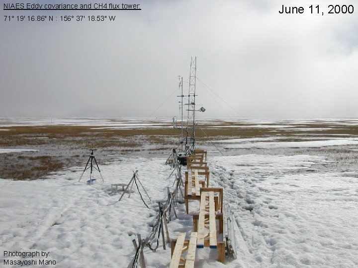 NIAES Eddy covariance and CH 4 flux tower: 71° 19' 16. 86" N :