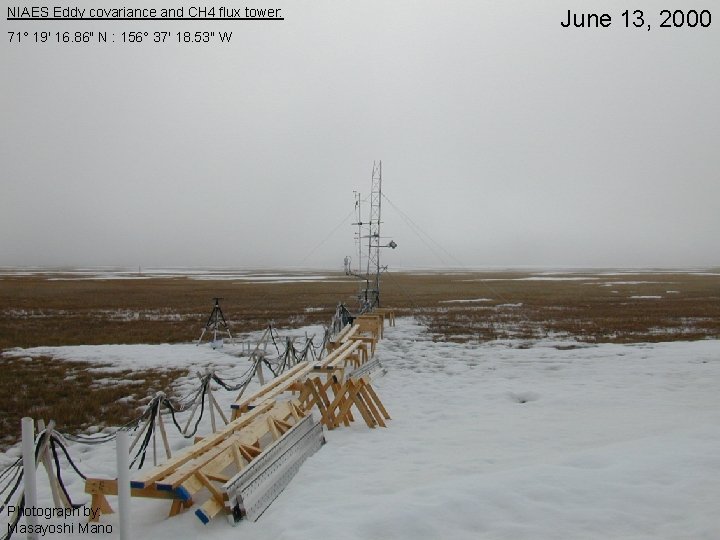 NIAES Eddy covariance and CH 4 flux tower: 71° 19' 16. 86" N :