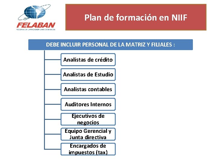 Plan de formación en NIIF DEBE INCLUIR PERSONAL DE LA MATRIZ Y FILIALES :