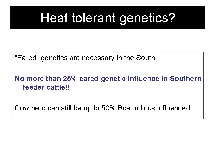 Heat tolerant genetics? “Eared” genetics are necessary in the South No more than 25%