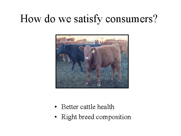 How do we satisfy consumers? • Better cattle health • Right breed composition 