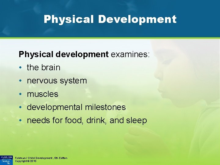 Physical Development Physical development examines: • the brain • nervous system • muscles •