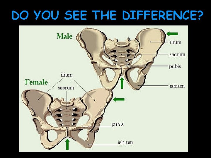 DO YOU SEE THE DIFFERENCE? 