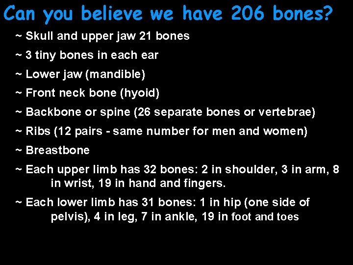 Can you believe we have 206 bones? ~ Skull and upper jaw 21 bones