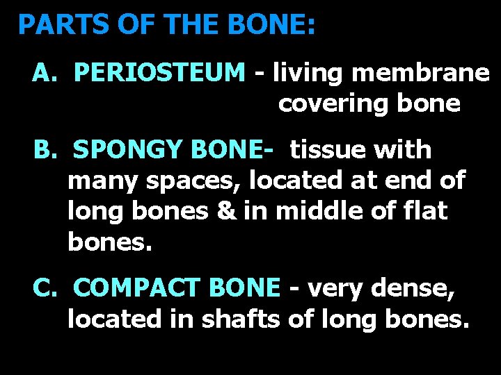 PARTS OF THE BONE: A. PERIOSTEUM - living membrane covering bone B. SPONGY BONE-