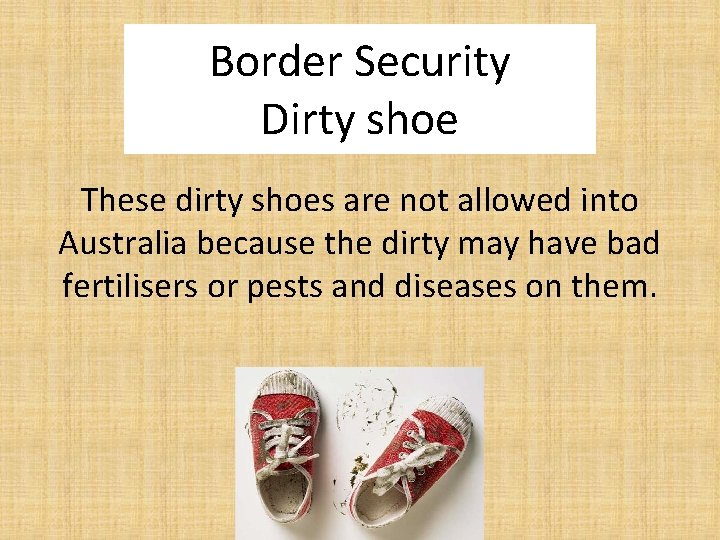 Border Security Dirty shoe These dirty shoes are not allowed into Australia because the