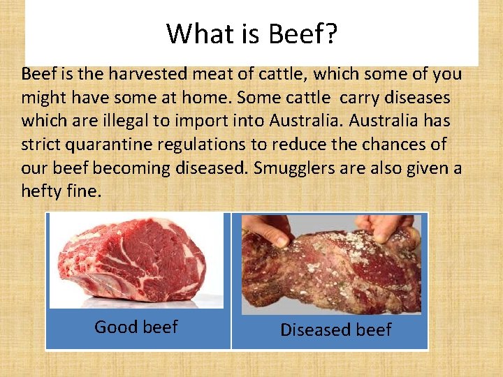 What is Beef? Beef is the harvested meat of cattle, which some of you