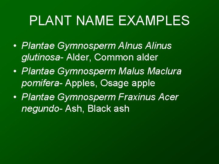 PLANT NAME EXAMPLES • Plantae Gymnosperm Alnus Alinus glutinosa- Alder, Common alder • Plantae