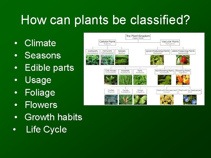 How can plants be classified? • • Climate Seasons Edible parts Usage Foliage Flowers