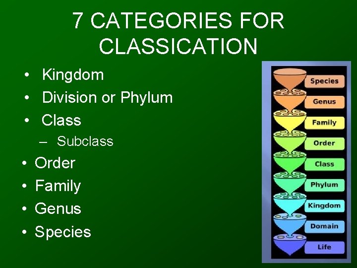 7 CATEGORIES FOR CLASSICATION • Kingdom • Division or Phylum • Class – Subclass