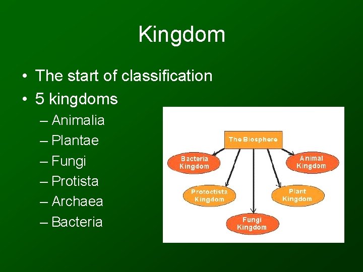 Kingdom • The start of classification • 5 kingdoms – Animalia – Plantae –