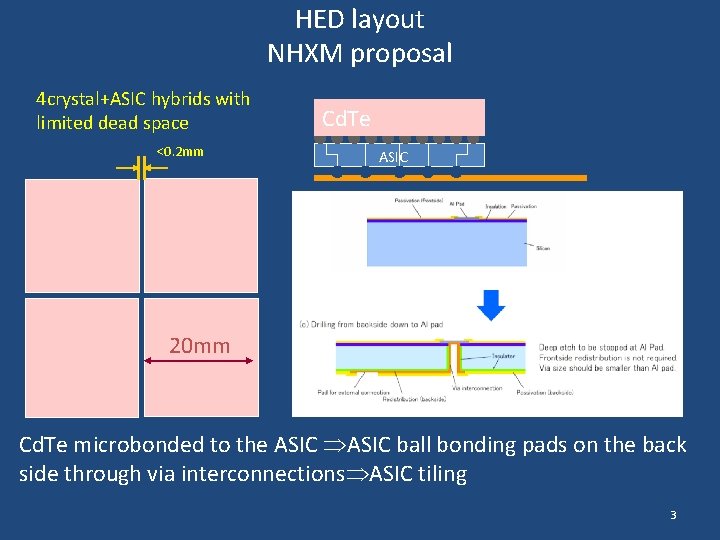 HED layout NHXM proposal 4 crystal+ASIC hybrids with limited dead space <0. 2 mm