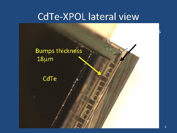Cd. Te-XPOL lateral view XPOL bonding pads (wedge) Bumps thickness 18 m Cd. Te