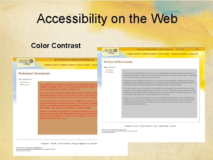 Accessibility on the Web Color Contrast 