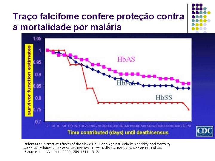 Traço falcifome confere proteção contra a mortalidade por malária 