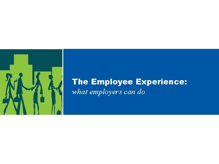 The Employee Experience: what employers can do 