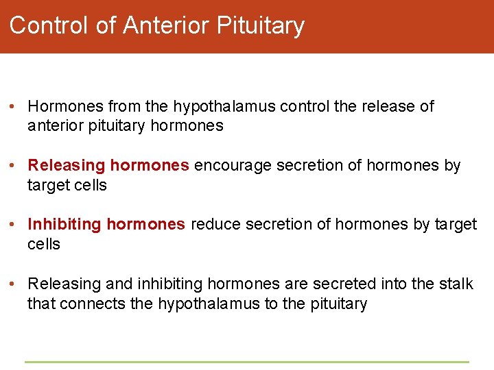 Control of Anterior Pituitary • Hormones from the hypothalamus control the release of anterior