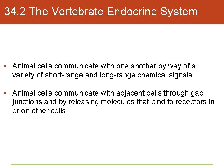 34. 2 The Vertebrate Endocrine System • Animal cells communicate with one another by
