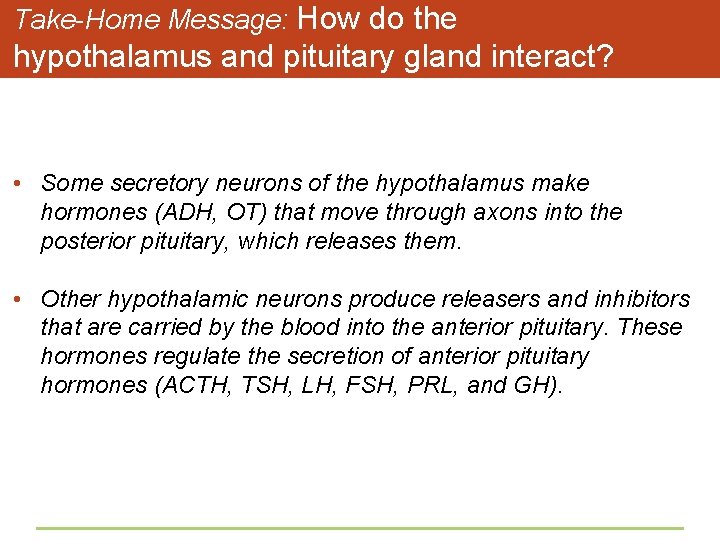 Take-Home Message: How do the hypothalamus and pituitary gland interact? • Some secretory neurons