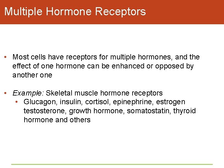 Multiple Hormone Receptors • Most cells have receptors for multiple hormones, and the effect