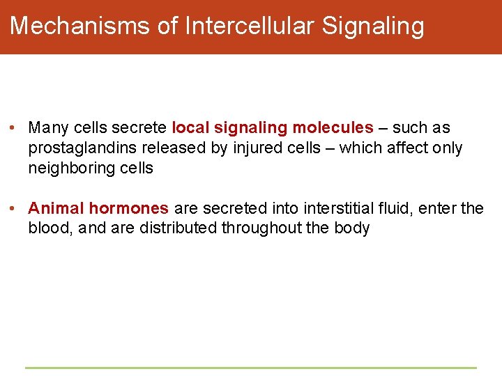 Mechanisms of Intercellular Signaling • Many cells secrete local signaling molecules – such as