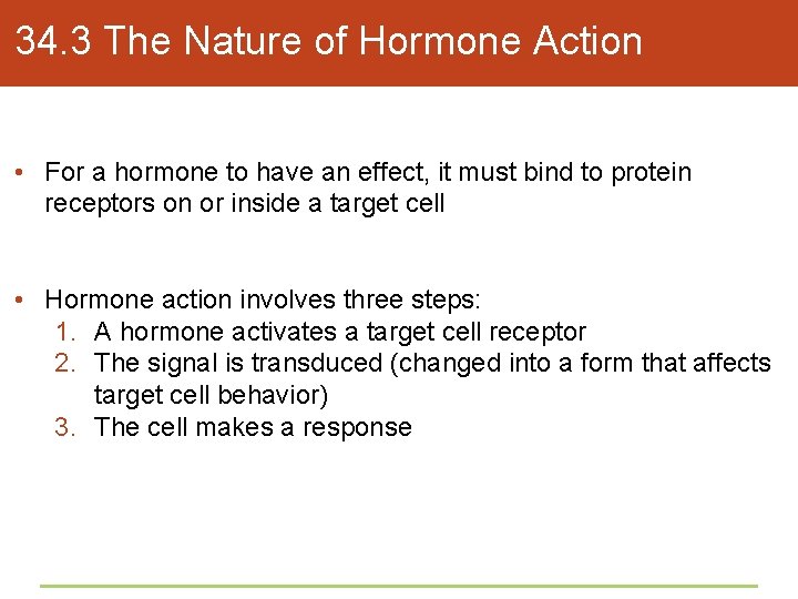 34. 3 The Nature of Hormone Action • For a hormone to have an