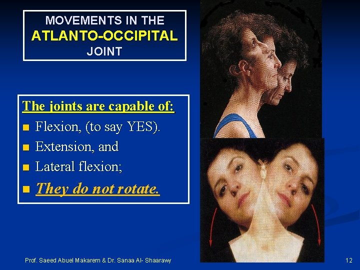 MOVEMENTS IN THE ATLANTO-OCCIPITAL JOINT The joints are capable of: n Flexion, (to say