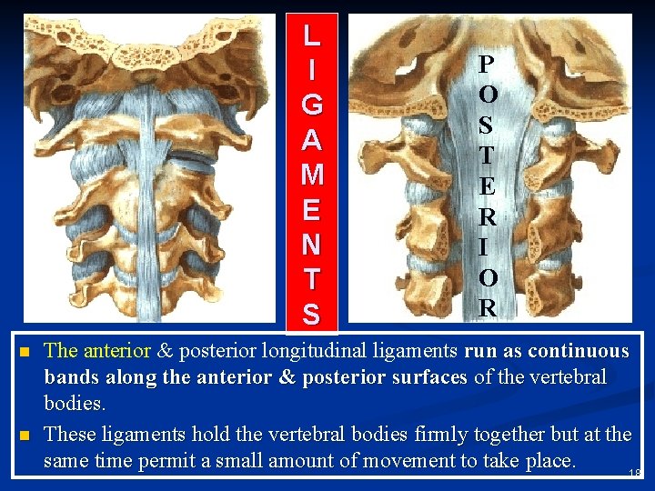 L I G A M E N T S n n P O S
