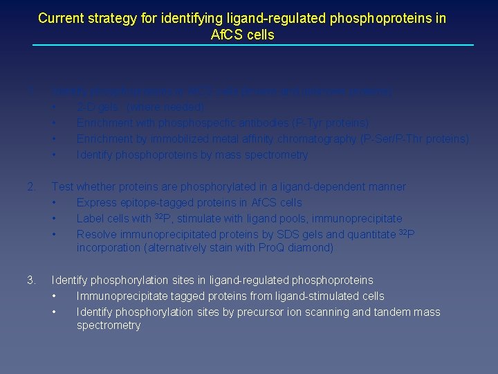 Current strategy for identifying ligand-regulated phosphoproteins in Af. CS cells 1. Identify phosphoproteins in